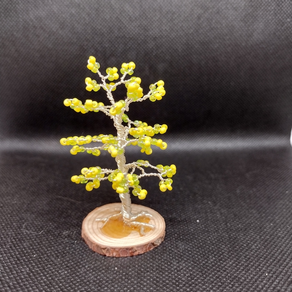 Small lucky lemon tree